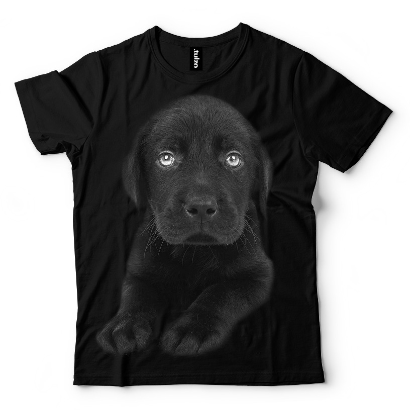 Pies Labrador Czarny Szczeniak-wyp - Tulzo