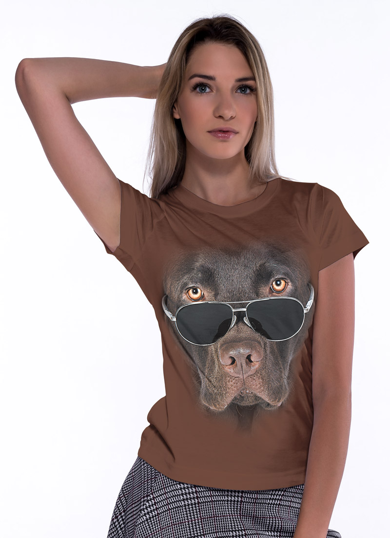 Labrador czekoladowy w okularach - Tulzo